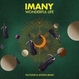 Album cover of Wonderful Life (Tim Plvnk & Ayosha Remix)