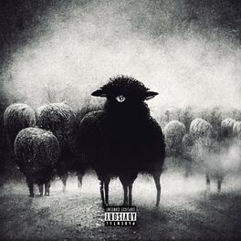 Album cover of Mouton Noir