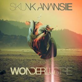 Album cover of Wonderlustre