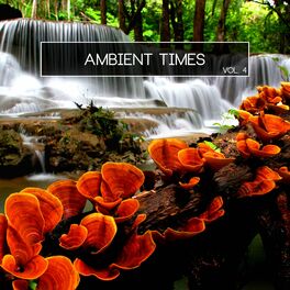 Album cover of Ambient Times, Vol. 4