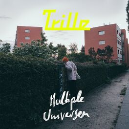 Album cover of Multiple Universen