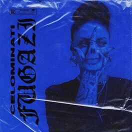 Album cover of FUGAZI