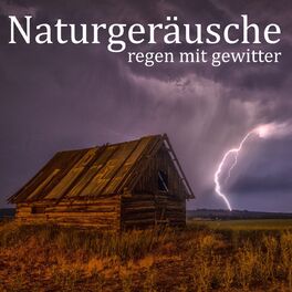 Album cover of Naturgeräusche: Regen mit Gewitter