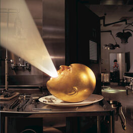 Album cover of Deloused in the Comatorium
