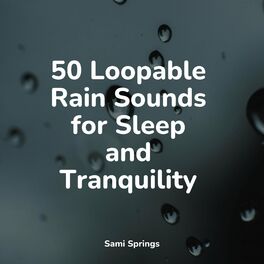 Album cover of 50 Loopable Rain Sounds for Sleep and Tranquility