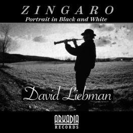 Album cover of Zingaro (Portrait in Black and White) (feat. Vic Juris, Tony Marino, Jamey Haddad & Café)