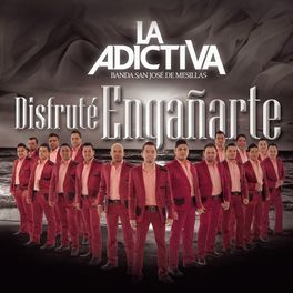 Album cover of Disfruté Engañarte