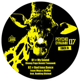 Album cover of Psychodynamik 07