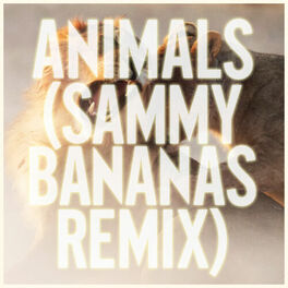 Maroon 5 - Animals (Sammy Bananas Remix): lyrics and songs | Deezer