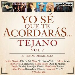 Album cover of Yo Sé Que Te Acordarás Tejano (Vol. 2 / 20 Temas Originales)