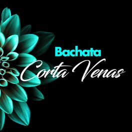 Album cover of Bachata Corta Venas