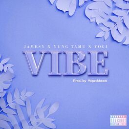 Album cover of VIBE (feat. Yung Tamu & Yogi)