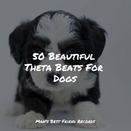 Album cover of 50 Beautiful Theta Beats For Dogs