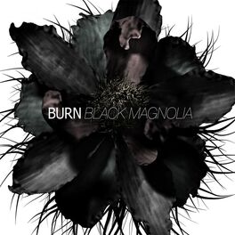 Album cover of Black Magnolia