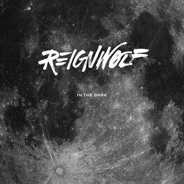 Album cover of In the Dark