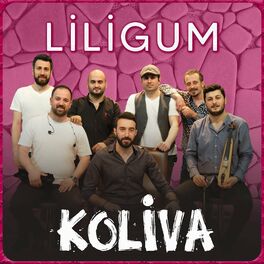 Album cover of Liligum (Akustik)