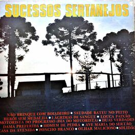 Album cover of Sucessos Sertanejos