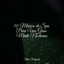 Album cover of 50 Música de Spa Para Una Gran Mente Nocturna