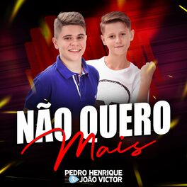 Album cover of Não Quero Mais