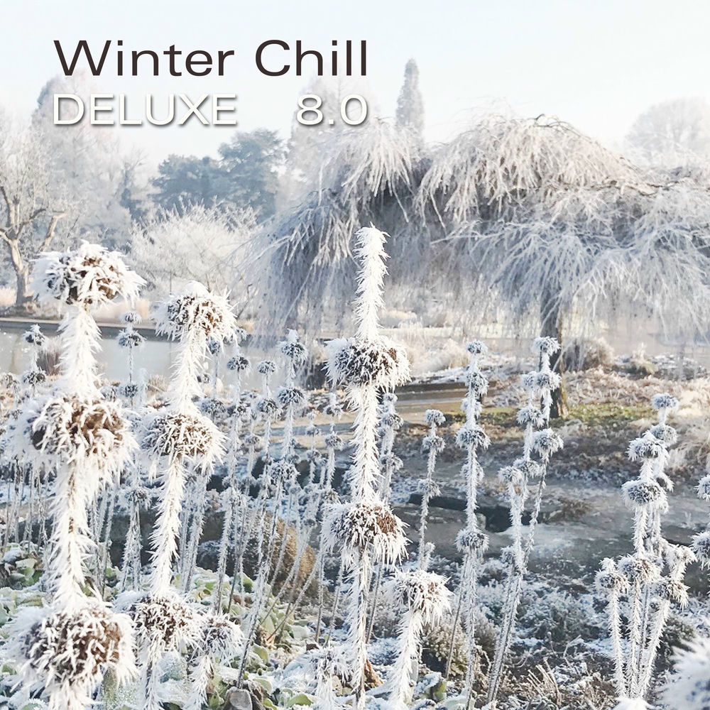 Winter album чей. Winter chilling. Wallpaper. Happy winter. Winter chilling.