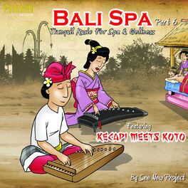 Album cover of Bali Spa, Pt. 6 (Tranquil Music for Spa & Wellness)