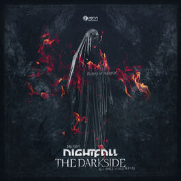Album cover of The Darkside