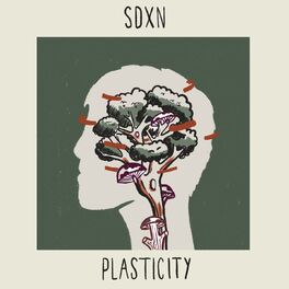 Album cover of Plasticity