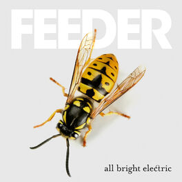 Album cover of All Bright Electric (Deluxe Version)