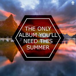 Album cover of The Only Album You'll Need This Summer