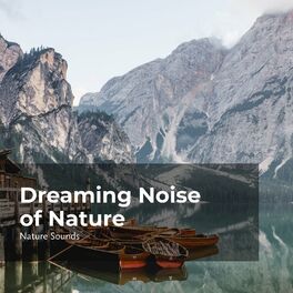 Album cover of Dreaming Noise of Nature