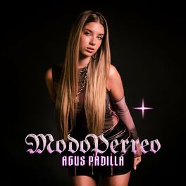 Album cover of MODO PERREO