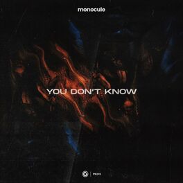 Album cover of You Don't Know