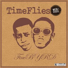Album cover of Timeflies