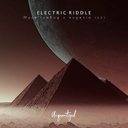 Album cover of Electric riddle