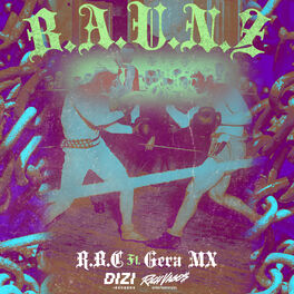 Album cover of Baunz