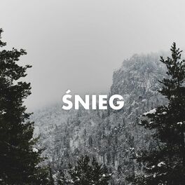 Album cover of Śnieg