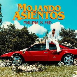 Album cover of Mojando Asientos (feat. Feid)