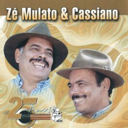 Album cover of 25 Anos
