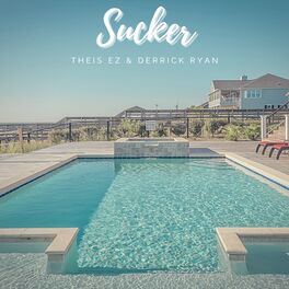 Album cover of Sucker