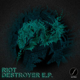 Album cover of Destroyer