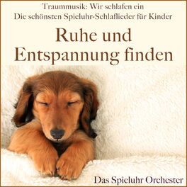 Album cover of Traummusik: Wir schlafen ein - Die schönsten Spieluhr-Schlaflieder für Kinder (Ruhe und Entspannung finden)