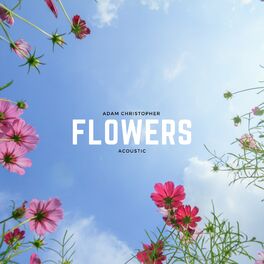 Album cover of Flowers (Acoustic)