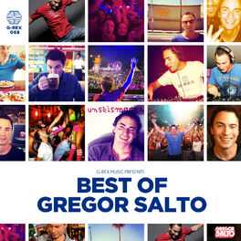Album cover of Gregor Salto Best Of