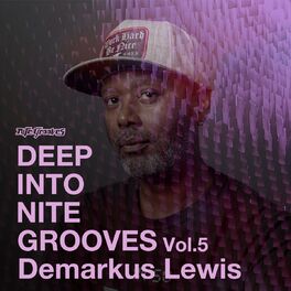 Album cover of Deep Into Nite Grooves, Vol. 5