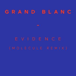 Album cover of Evidence (Molecule Remix)