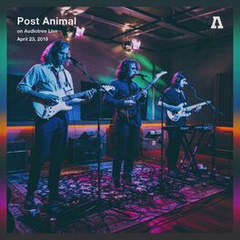 Post Animal - Levitation Sessions LP – LEVITATION