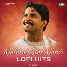 Album cover of Natural Star Nanis Lofi Hits