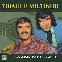 Album cover of Canarinho do Peito Amarelo