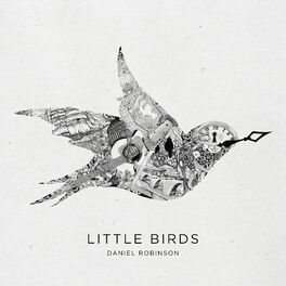 Album cover of Little Birds