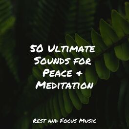 Album cover of 50 Ultimate Sounds for Peace & Meditation